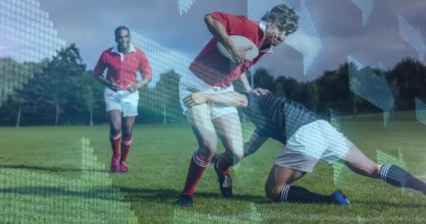 Stadyumda Oynayan Çeşitli Erkek Rugby Oyuncularının Üzerindeki Oklar Canlandırılıyor Spor — Stok video