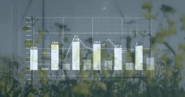 Rüzgar türbinleri ve manzara üzerinde finansal veri işleme animasyonu. küresel finans, iş ve dijital arayüz kavramı dijital olarak oluşturulmuş video.