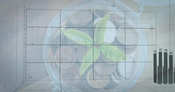 用白色背景的硬币和植物进行金融数据处理的动画 全球金融 商业和数字接口概念数字生成视频 — 图库视频影像