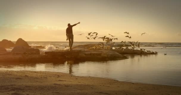 人物形象的动画和背景中飞越大海的鸟类形象 雀鸟日与自然概念数码录影 — 图库视频影像