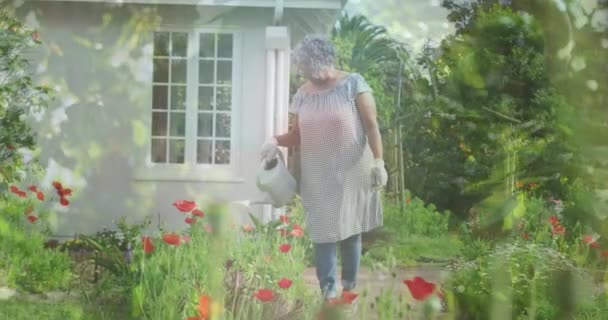 Animation Trees Senior Caucasian Woman Watering Plants Garden National Gardening — Stock Video
