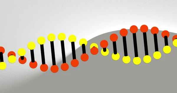 Зображення Ланцюга Dna Копіювальним Простором Сірому Фоні Науково Дослідна Концепція — стокове фото