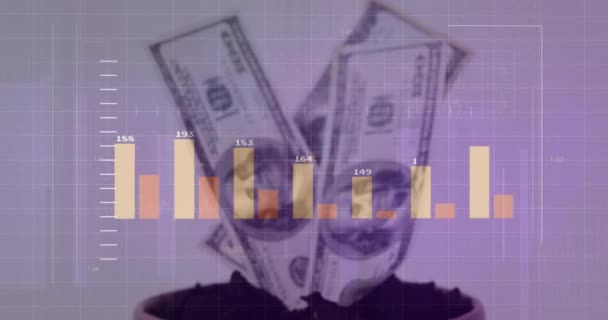 Animace Zpracování Finančních Údajů Dolarech Bílém Pozadí Globální Koncepce Financování — Stock video