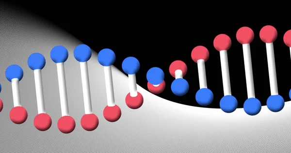 Imagem Fio Dna Girando Fundo Preto Branco Conceito Ciência Pesquisa — Fotografia de Stock