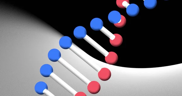 Imagen Hebra Adn Girando Sobre Fondo Blanco Negro Concepto Ciencia —  Fotos de Stock