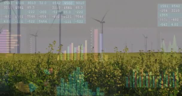 Rüzgar Türbinleri Manzara Üzerinde Finansal Veri Işleme Animasyonu Küresel Finans — Stok video