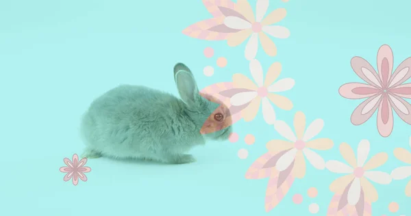 Изображение Розовых Цветов Вращающихся Пасхальным Кроликом Синем Фоне Пасхальная Традиция — стоковое фото
