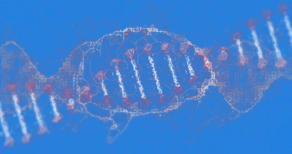 Afbeelding Van Een Spinnende Dna Streng Menselijk Brein Een Blauwe — Stockfoto