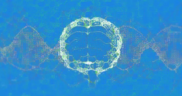 Obrázek Rotujícího Vlákna Dna Lidského Mozku Modrém Pozadí Vědecký Výzkumný — Stock fotografie