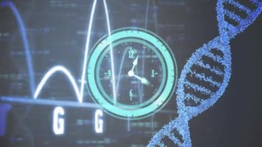 Saatin animasyonu, DNA ipliği ve veri işleme. Bilim, veri işleme ve dijital arayüz konsepti dijital olarak oluşturulmuş video.