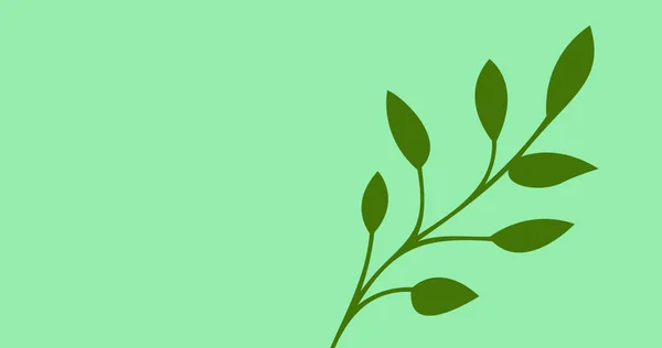 Obrázek Zelených Listů Kopírovacím Prostorem Zeleném Pozadí Příroda Tropické Rostliny — Stock fotografie
