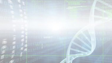Siyah arka plandaki veri işleme şekillerinin üzerindeki DNA iplikçiklerinin animasyonu. küresel bağlantılar ve veri işleme konsepti dijital olarak oluşturulmuş video.