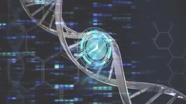 Saatin animasyonu, DNA ipliği ve veri işleme. Bilim, veri işleme ve dijital arayüz konsepti dijital olarak oluşturulmuş video.