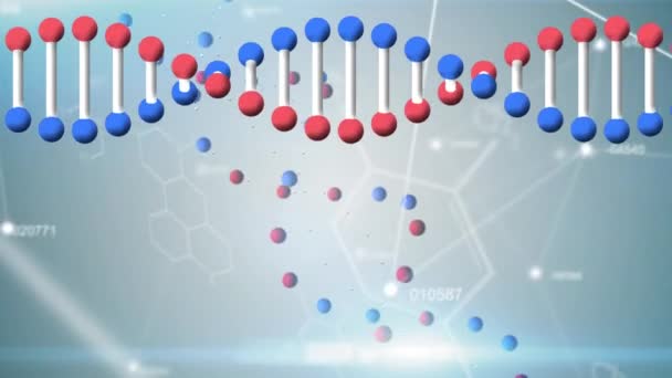 Animation Dna Strands Spinning Data Processing Science Data Processing Digital — Stock Video