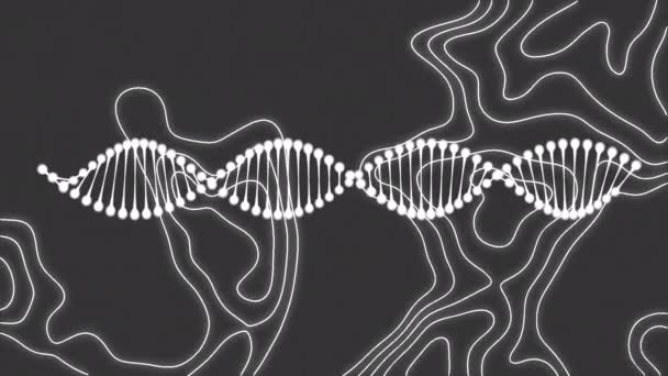 Dna Iplikçiklerinin Dönmesi Gri Arkaplanda Beyaz Çizgiler Bilim Veri Işleme — Stok video