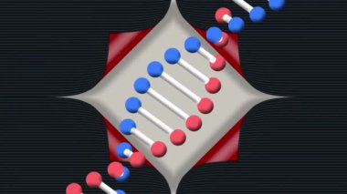 Bej, kırmızı ve siyah arka planda dönen DNA zincirinin animasyonu. dijital arayüz, genetik, teknoloji ve iletişim konsepti dijital olarak oluşturulmuş video.