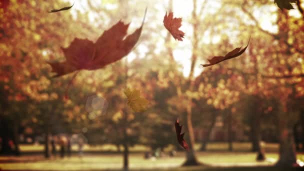 秋の公園に落ちる紅葉のアニメーション コンセプトによる時間の経過デジタルで生成されたビデオ — ストック動画
