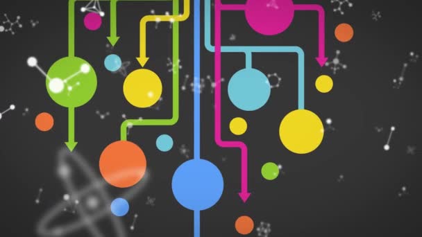 Animazione Molecole Frecce Colorate Cerchi Sfondo Nero Colore Movimento Scienza — Video Stock