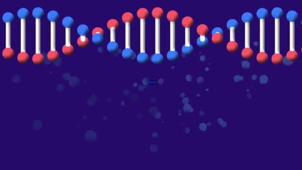 Animation You Win Text Dna Strand Shapes Social Media Communication — Stock Video