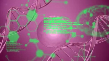 DNA zincirleri ve hücreler üzerinde kimyasal formüllerin ve veri işlemenin animasyonu. İnsan biyolojisi, biyoteknoloji, bilim ve teknoloji konsepti dijital olarak oluşturulmuş video.