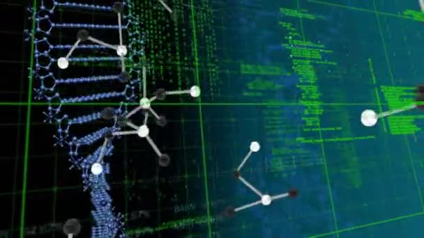 Animation Von Dna Strang Spinnmolekülen Und Medizinischer Datenverarbeitung Globales Konzept — Stockvideo