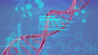 DNA zincirinin üzerinde dönen kimyasal formüllerin ve veri işlemlerinin animasyonu. İnsan biyolojisi, biyoteknoloji, bilim ve teknoloji konsepti dijital olarak oluşturulmuş video.