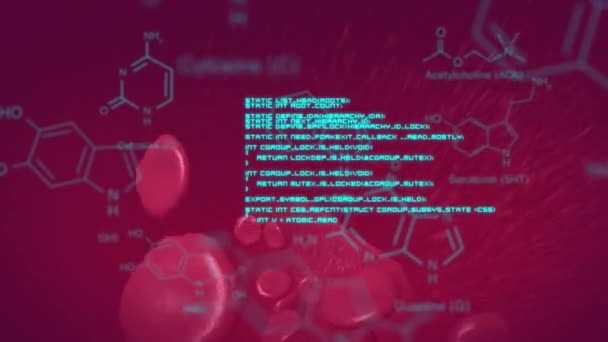 Animação Fórmulas Químicas Processamento Dados Sobre Células Sanguíneas Flutuantes Conceito — Vídeo de Stock