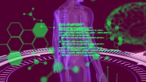 人体和大脑旋转过程中化学式的动画化和数据处理 人类生物学 生物技术 科学和技术概念 — 图库视频影像