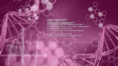 DNA zincirlerinin üzerinde dönen kimyasal formüllerin ve veri işlemlerinin animasyonu. İnsan biyolojisi, biyoteknoloji, bilim ve teknoloji konsepti dijital olarak oluşturulmuş video.