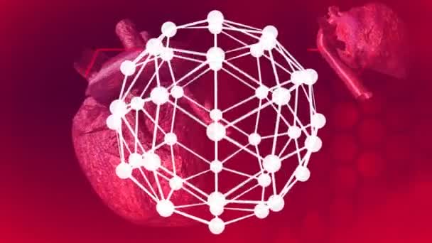 化学式和心率线在人类心脏模型上的动画化 人类生物学 生物技术 科学和技术概念 — 图库视频影像