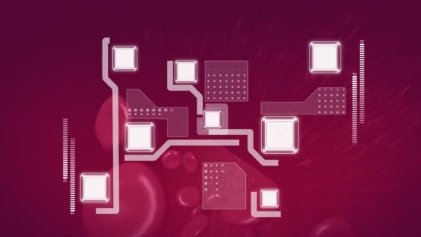 Animación Circuito Integrado Sobre Células Sanguíneas Flotantes Biología Humana Tecnología — Vídeo de stock
