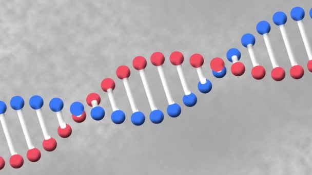 Animation Dna Strand Grey Background Digital Interface Data Processing Technology — Stock Video