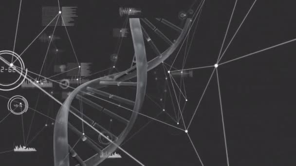 Animação Cadeia Dna Sobre Rede Conexões Processamento Dados Fundo Preto — Vídeo de Stock