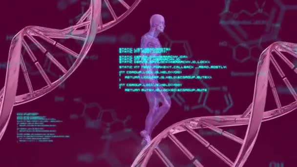 Animación Fórmulas Químicas Procesamiento Datos Través Cadenas Adn Caminando Cuerpo — Vídeo de stock