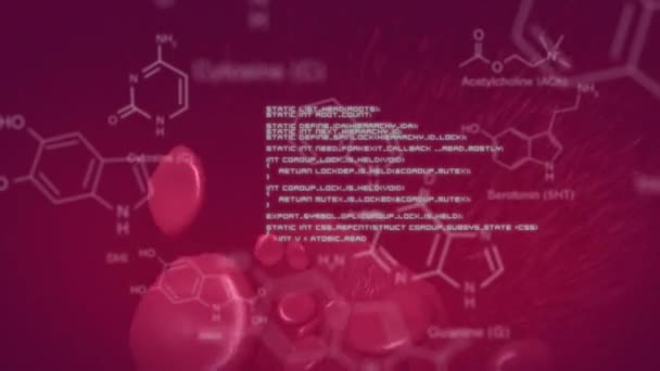 浮动血细胞上化学式的动画和数据处理 人类生物学 生物技术 科学和技术概念 — 图库视频影像