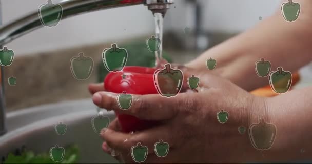 Animacja Ikon Pieprzu Nad Białym Mężczyzną Myjącym Warzywa Narodowy Tydzień — Wideo stockowe