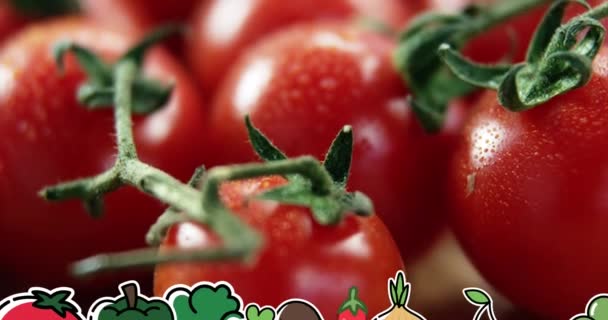 Animation Icônes Légumes Sur Tomates Semaine Végétarienne Nationale Concept Célébration — Video