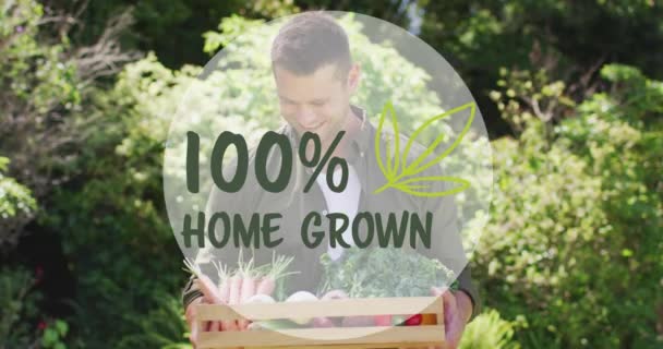 Animacja 100 Domowy Uprawiany Tekst Nad Szczęśliwy Biały Mężczyzna Warzywami — Wideo stockowe