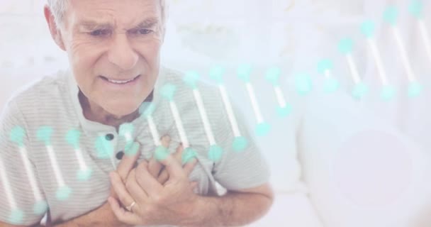 在心脏图标的动画中 Dna链在老年人身上旋转 痛苦地握住他的胸膛 医疗及医护概念数码录影 — 图库视频影像