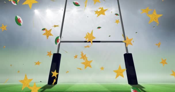 Animation Étoiles Sur Des Boules Rugby Colorées Avec Drapeau Baleines — Video