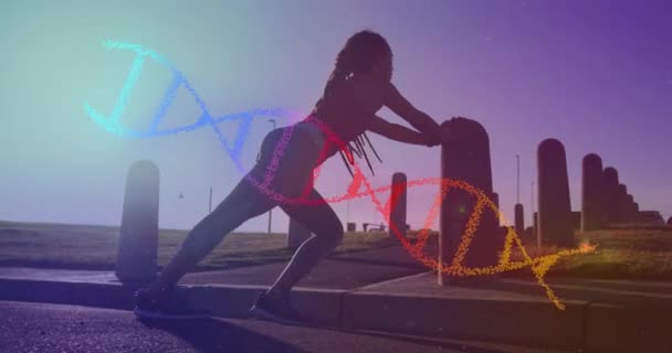 공원에서 운동하는 혼혈아 여성에 Dna 애니메이션 건강의 디지털 비디오 — 비디오