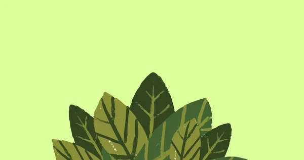 Изображение Зеленых Листьев Зеленом Фоне Неделя Национальных Садов Концепция Празднования — стоковое фото