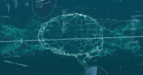 Beeld Van Gegevensverwerking Menselijk Brein Draaiend Digitaal Scherm Wetenschap Informatica — Stockfoto