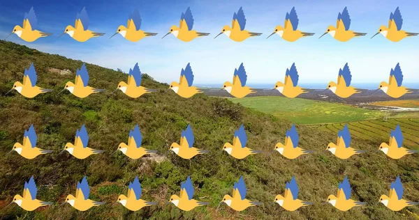 Manzara Üzerinde Hareket Eden Kuş Simgeleri Kuş Günü Kutlama Konsepti — Stok fotoğraf