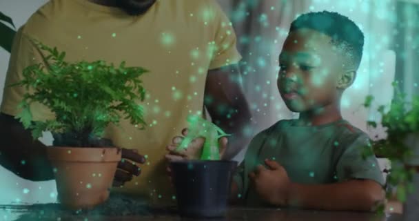 幸せなアフリカ系アメリカ人の父と息子の上に光のアニメーション植物や拍手の手 質の高い時間概念をデジタルで生成したビデオを — ストック動画