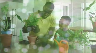 Mutlu Afro-Amerikan baba ve oğullarının bitkileri yeniden saksılamaları üzerine suyun üzerindeki ışıkların animasyonu. aile, birliktelik, kaliteli zaman konsepti dijital olarak oluşturulmuş video.