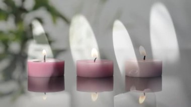 Bitki ve mumların üzerindeki alevlerin animasyonu. dünya meditasyon günü ve dijital olarak üretilen video konsepti.