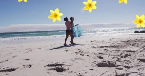 Animacja Żonkili Nad Afrykańską Amerykańską Parą Spacerującą Plaży Zbierającą Śmieci — Wideo stockowe