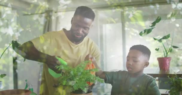 Animation Leaves Happy African American Father Son Watering Plant Home — Stock Video