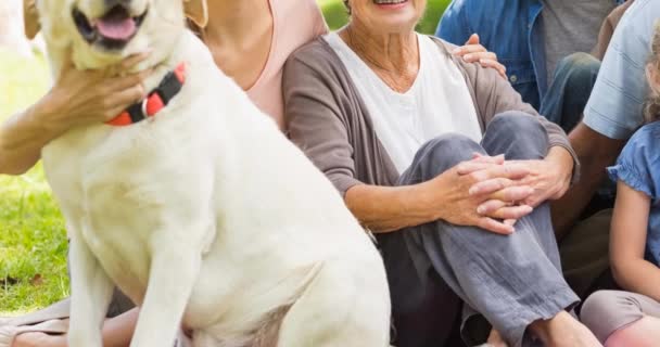 Retrato Família Feliz Caucasiano Multi Geração Sentado Com Cão Estimação — Vídeo de Stock